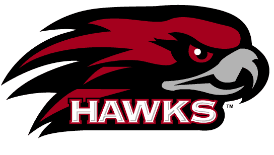 St. Joseph's Hawks 2001-Pres Alternate Logo v3 diy iron on heat transfer